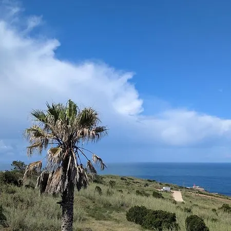 Ocean View In ナザレ